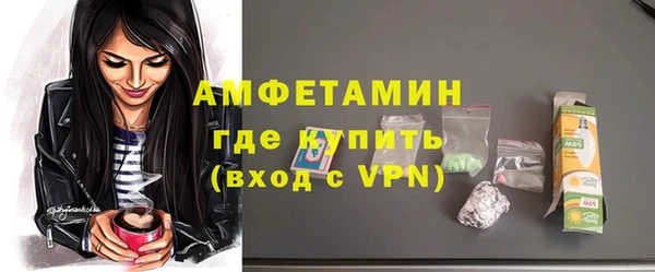 молекула духа Ельня