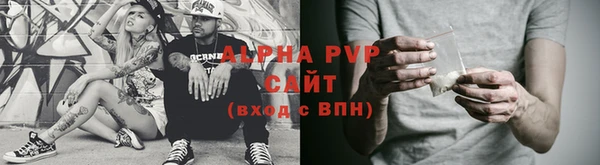 молекула духа Ельня