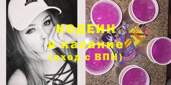 молекула духа Ельня