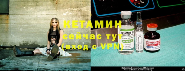 молекула духа Ельня