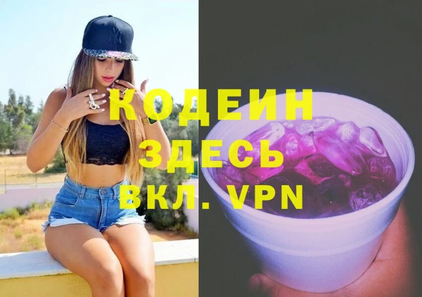 молекула духа Ельня