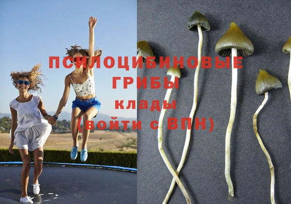 молекула духа Ельня
