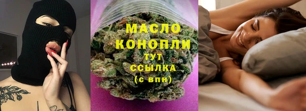 молекула духа Ельня