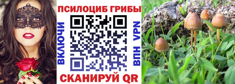 Купить  Онега  Псилоцибиновые грибы прущие грибы 
